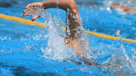 �^��,���j,�J�����[����,�j��600Kcal,����470Kcal